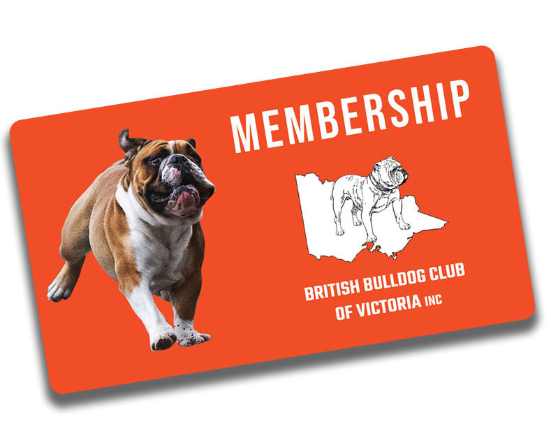 british bulldog club membership