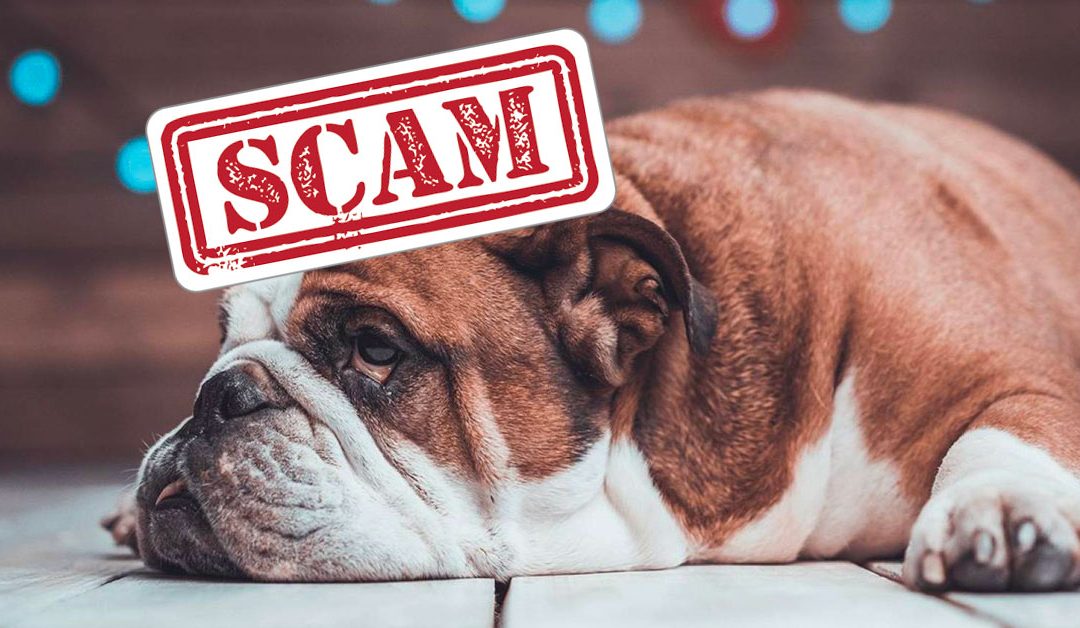beware scam alert