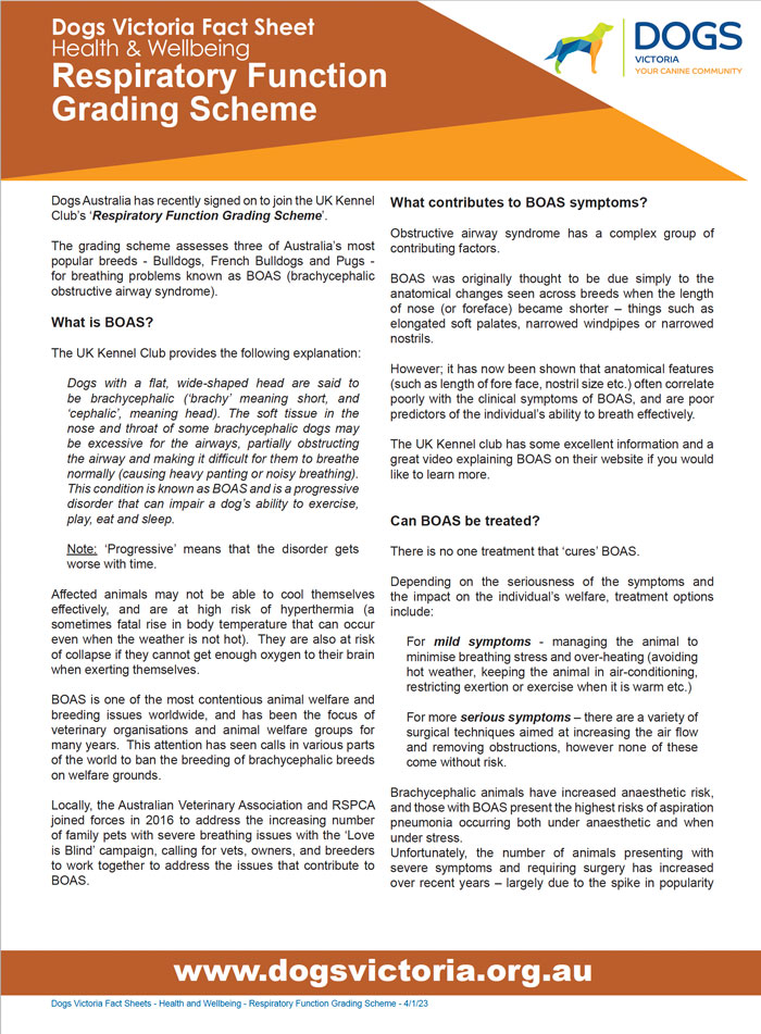 respiratory fact sheet