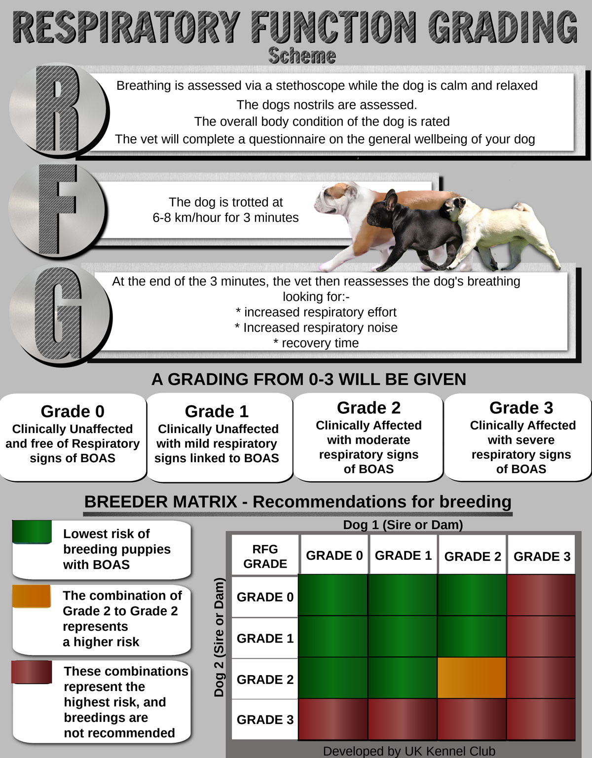 respiratory fact sheet